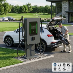 Fast Charging 40kw 80kw Dual Gun Wall-Mounted DC EV Station CCS2 GBT Type 2 Interface Smart Charging Pile IP54 CE