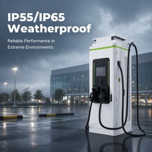 160KW 180KW 240KW DC DC Charger High Efficiency Dual Port With OCPP Ready Connectivity For Electric Bus Depots product view 2