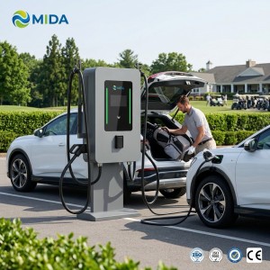 High Efficiency 80kw Wall-Mounted DC EV Charger Dual Gun CCS2 GBT Interface Electric Vehicle Charging Point With APP