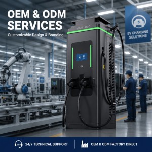 Solar PV 60KW 120KW 160KW DC DC Charger High Efficiency Dual Port With OCPP Ready Connectivity For Highway Service Areas
