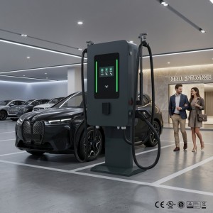 Professional 80kw Dual Gun Wall Mounted DC Fast Charging Station CCS2 GBT Standard Smart EVSE For Fleet Management